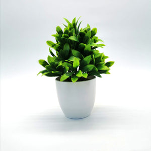 Source Simulation Plant Potted Flowers And Green Plants